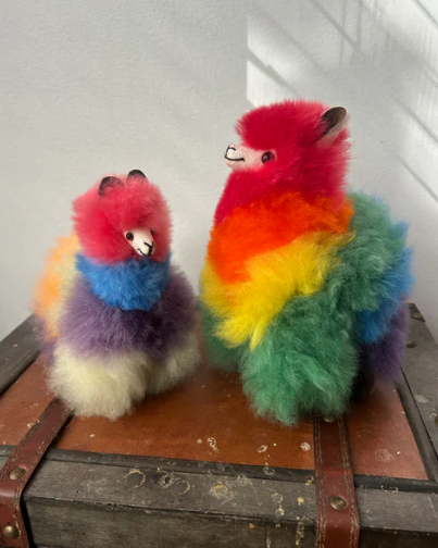 Alpaca Fluffy - Rainbow