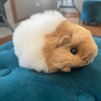 Guinea Pig - Alpaca Fleece