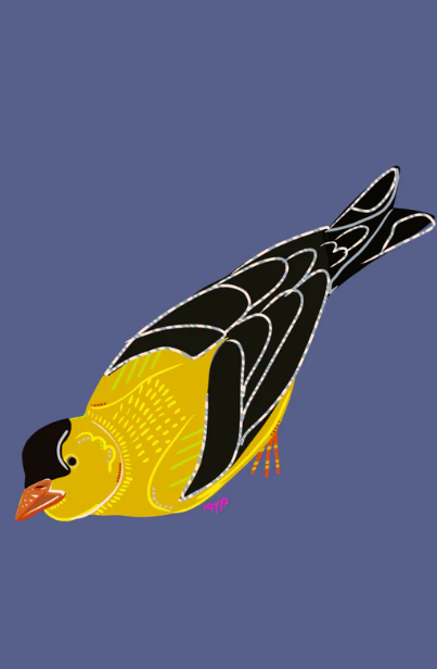 "Little Birds" Greeting Card Pack