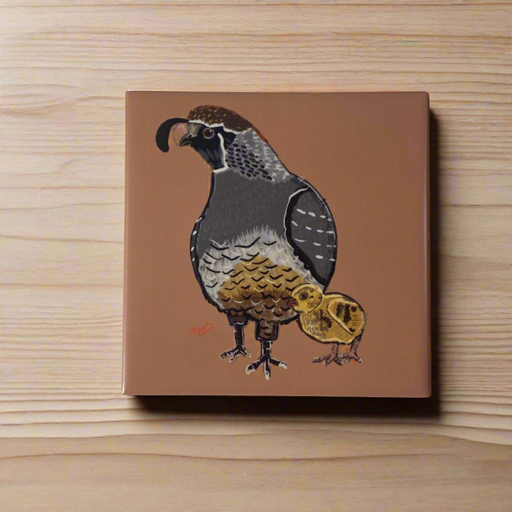 Coaster