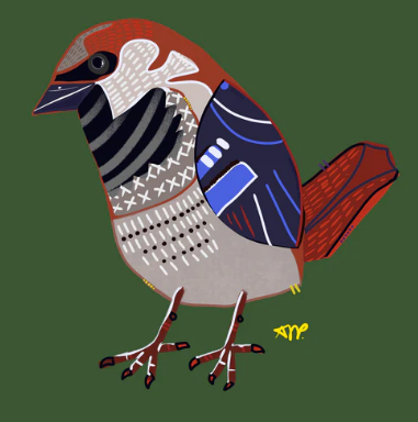 Sparrow Coaster