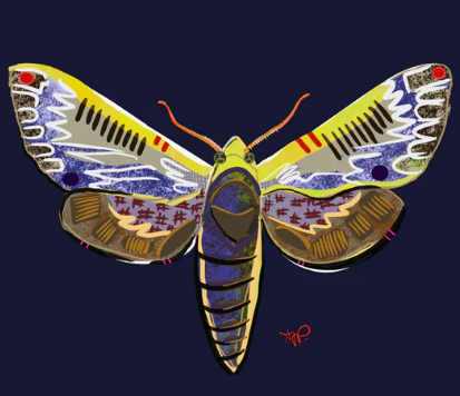 Moth Matted Print
