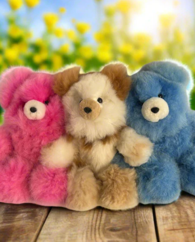 Teddy Bear - Alpaca Fleece